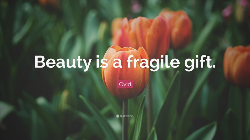 Ovid Quote: “Beauty is a fragile gift.”