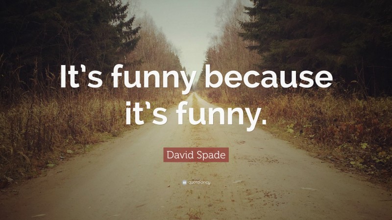 David Spade Quote: “It’s funny because it’s funny.”