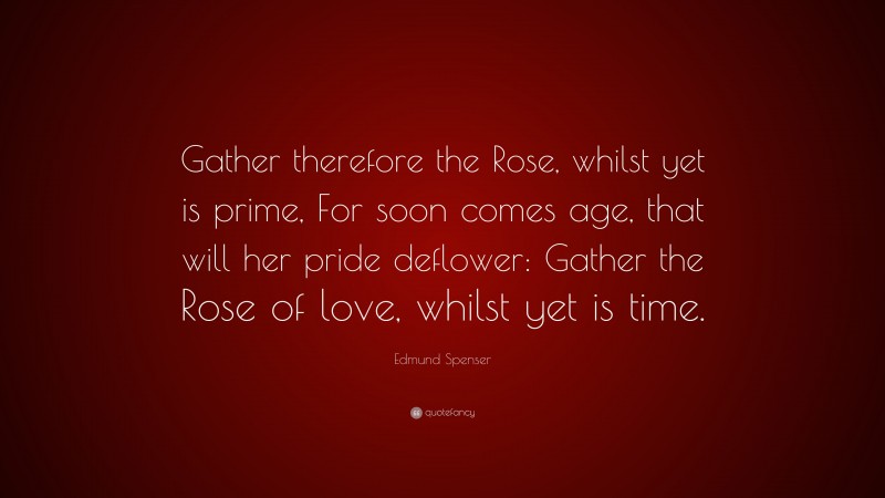 Edmund Spenser Quote: “Gather therefore the Rose, whilst yet is prime, For soon comes age, that will her pride deflower: Gather the Rose of love, whilst yet is time.”