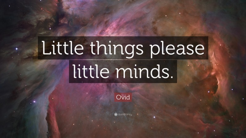 Ovid Quote: “Little things please little minds.”