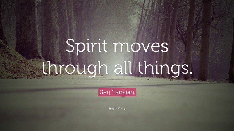 Serj Tankian Quote: “Spirit moves through all things.”