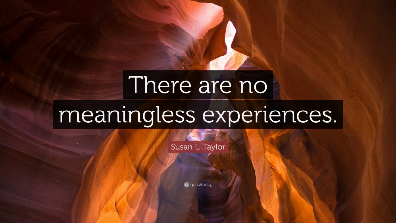 Susan L. Taylor Quote: “There are no meaningless experiences.”