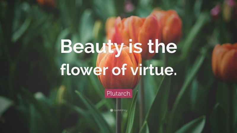 Plutarch Quote: “Beauty is the flower of virtue.”