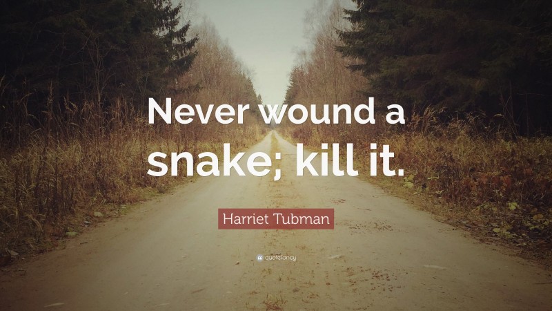Harriet Tubman Quote: “Never wound a snake; kill it.”