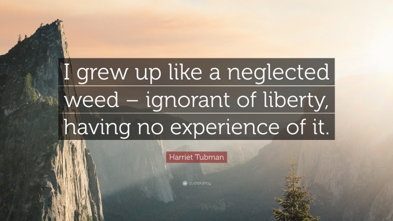 Harriet Tubman Quote: “I grew up like a neglected weed – ignorant of liberty, having no experience of it.”
