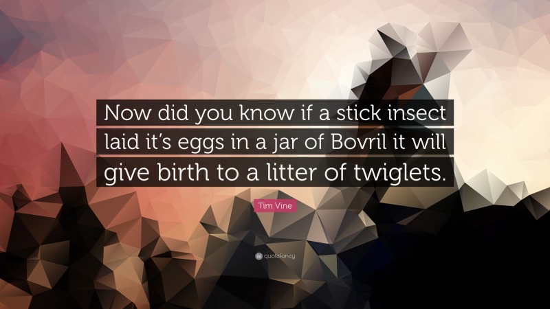 Tim Vine Quote: “Now did you know if a stick insect laid it’s eggs in a jar of Bovril it will give birth to a litter of twiglets.”