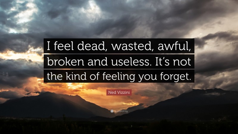 Ned Vizzini Quote: “I feel dead, wasted, awful, broken and useless. It’s not the kind of feeling you forget.”