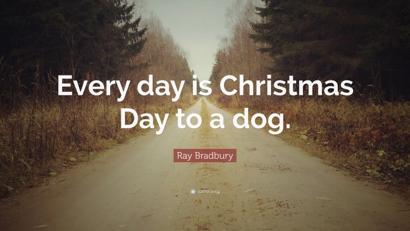 Ray Bradbury Quote: “Every day is Christmas Day to a dog.”
