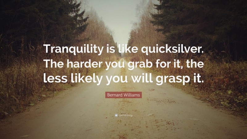 Bernard Williams Quote: “Tranquility is like quicksilver. The harder you grab for it, the less likely you will grasp it.”