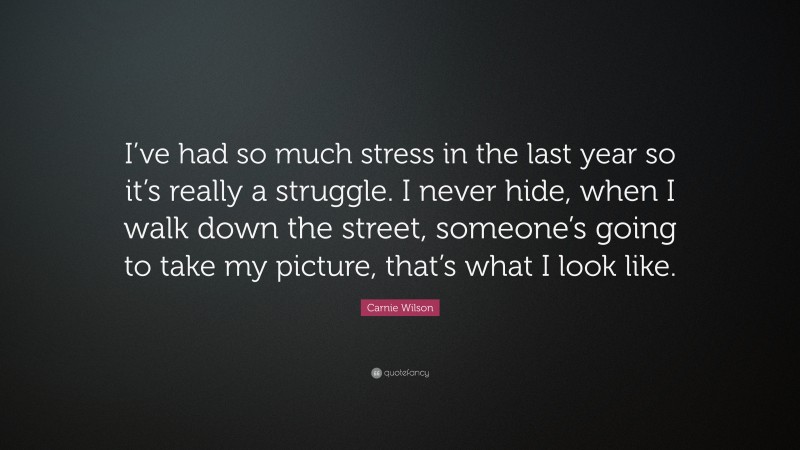 Carnie Wilson Quote: “I’ve had so much stress in the last year so it’s really a struggle. I never hide, when I walk down the street, someone’s going to take my picture, that’s what I look like.”