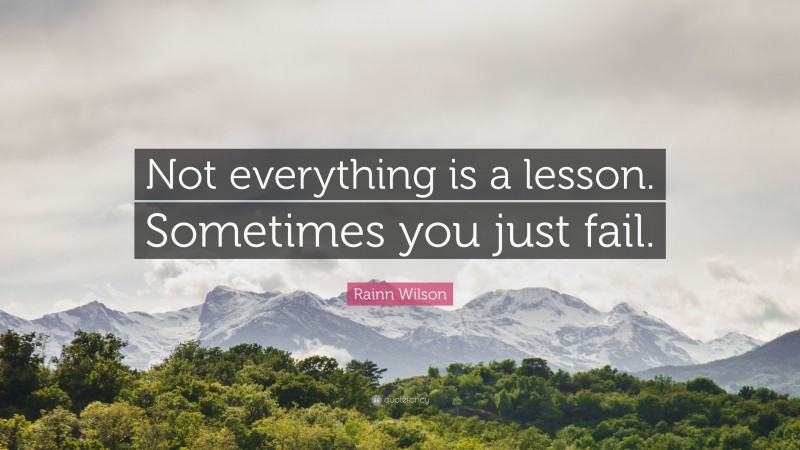 Rainn Wilson Quote: “Not everything is a lesson. Sometimes you just fail.”