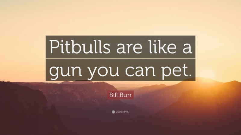Bill Burr Quote: “Pitbulls are like a gun you can pet.”