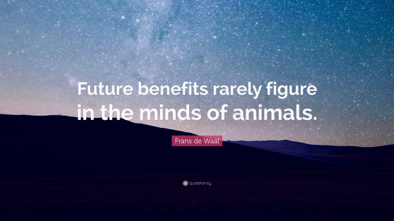 Frans de Waal Quote: “Future benefits rarely figure in the minds of animals.”
