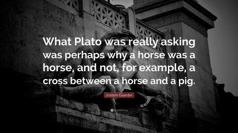 Jostein Gaarder Quote: “What Plato was really asking was perhaps why a horse was a horse, and not, for example, a cross between a horse and a pig.”