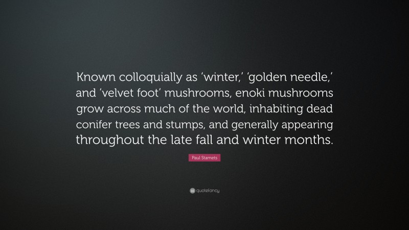 Paul Stamets Quote: “Known colloquially as ‘winter,’ ‘golden needle,’ and ‘velvet foot’ mushrooms, enoki mushrooms grow across much of the world, inhabiting dead conifer trees and stumps, and generally appearing throughout the late fall and winter months.”