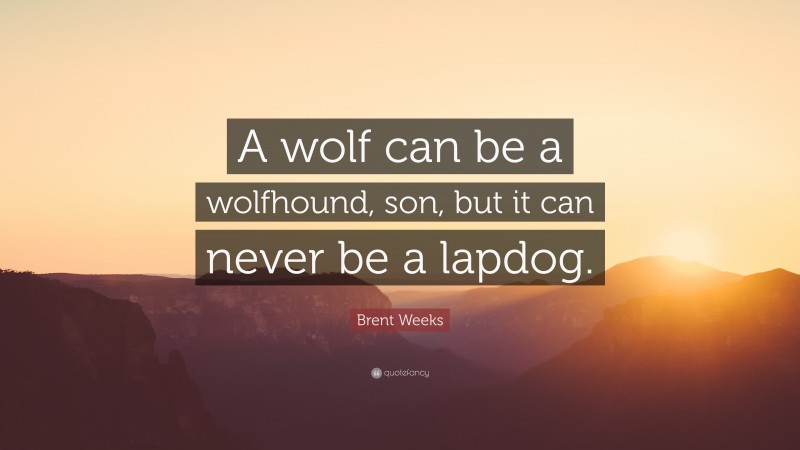 Brent Weeks Quote: “A wolf can be a wolfhound, son, but it can never be a lapdog.”