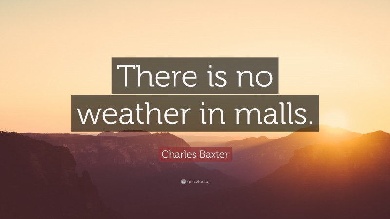 Charles Baxter Quote: “There is no weather in malls.”