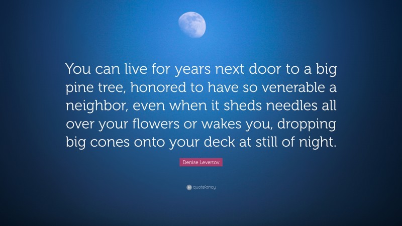 Denise Levertov Quote: “You can live for years next door to a big pine tree, honored to have so venerable a neighbor, even when it sheds needles all over your flowers or wakes you, dropping big cones onto your deck at still of night.”