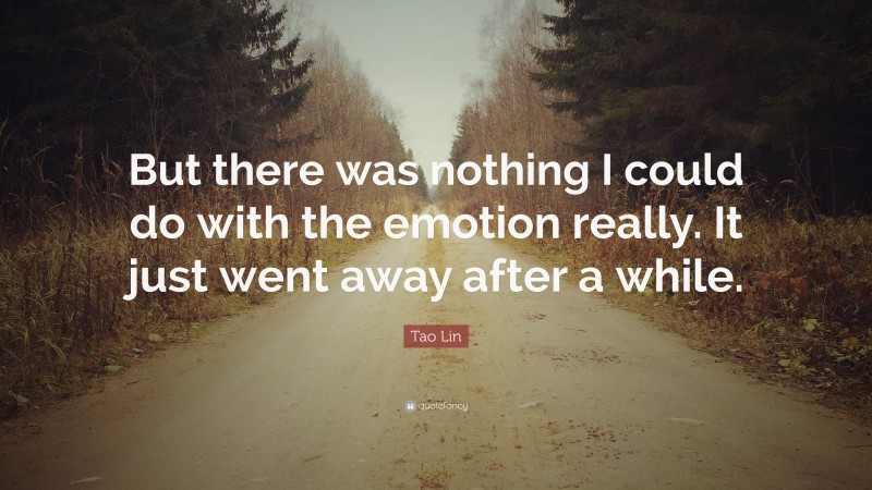 Tao Lin Quote: “But there was nothing I could do with the emotion really. It just went away after a while.”