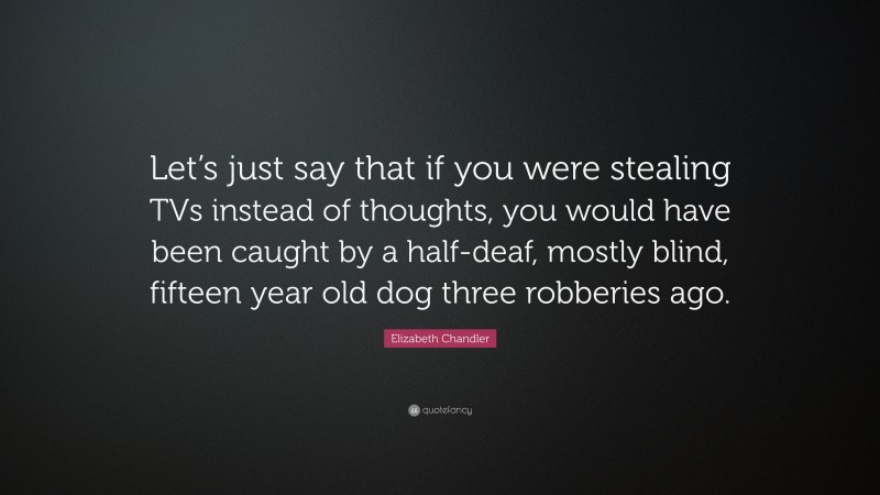 Elizabeth Chandler Quote: “Let’s just say that if you were stealing TVs instead of thoughts, you would have been caught by a half-deaf, mostly blind, fifteen year old dog three robberies ago.”