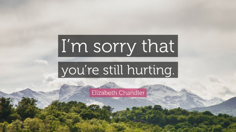 Elizabeth Chandler Quote: “I’m sorry that you’re still hurting.”