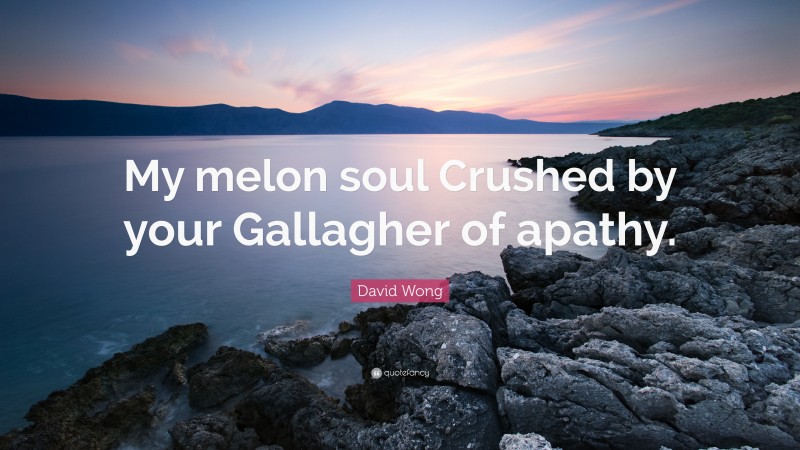 David Wong Quote: “My melon soul Crushed by your Gallagher of apathy.”
