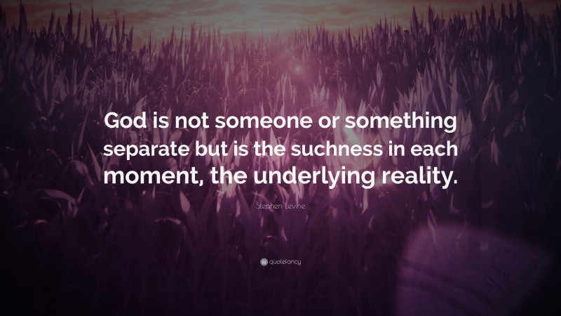 Stephen Levine Quote: “God is not someone or something separate but is the suchness in each moment, the underlying reality.”