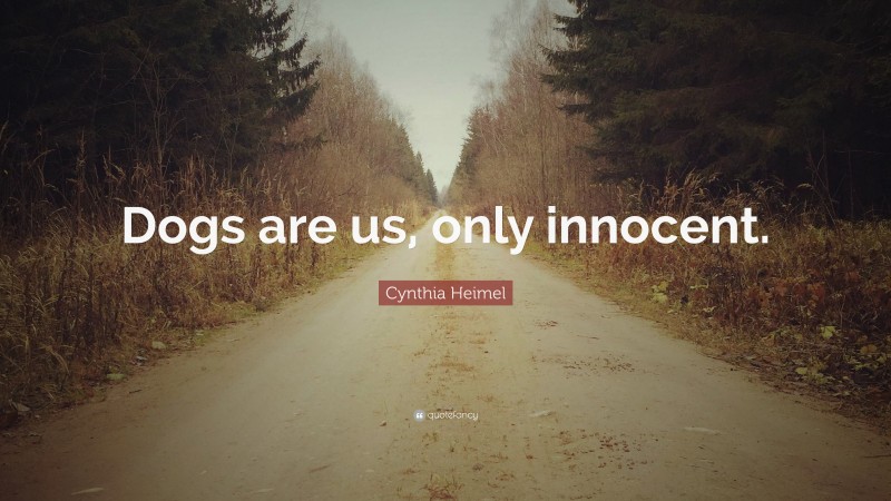 Cynthia Heimel Quote: “Dogs are us, only innocent.”