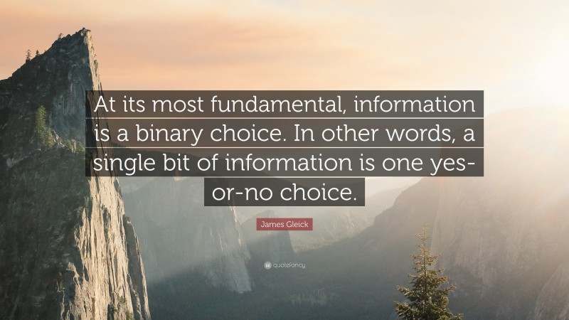 James Gleick Quote: “At its most fundamental, information is a binary choice. In other words, a single bit of information is one yes-or-no choice.”