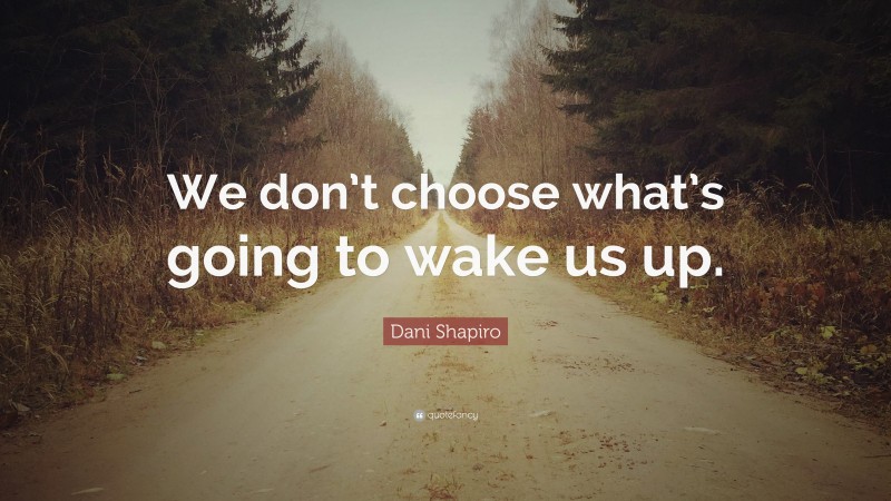 Dani Shapiro Quote: “We don’t choose what’s going to wake us up.”