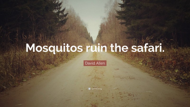 David Allen Quote: “Mosquitos ruin the safari.”