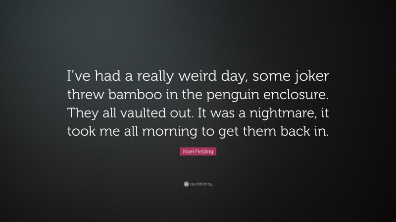 Noel Fielding Quote: “I’ve had a really weird day, some joker threw bamboo in the penguin enclosure. They all vaulted out. It was a nightmare, it took me all morning to get them back in.”