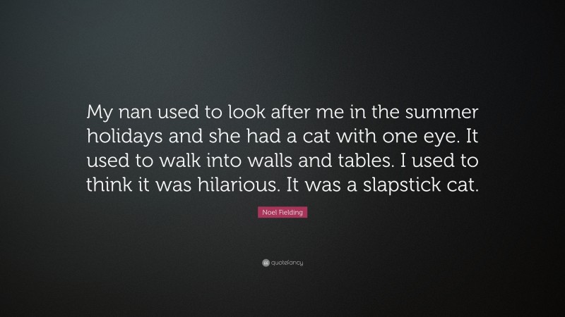 Noel Fielding Quote: “My nan used to look after me in the summer holidays and she had a cat with one eye. It used to walk into walls and tables. I used to think it was hilarious. It was a slapstick cat.”