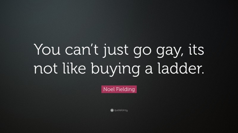 Noel Fielding Quote: “You can’t just go gay, its not like buying a ladder.”