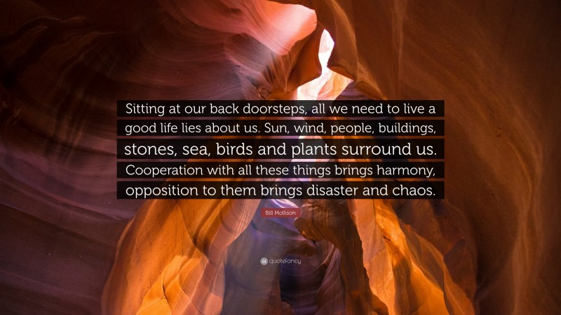 Bill Mollison Quote: “Sitting at our back doorsteps, all we need to live a good life lies about us. Sun, wind, people, buildings, stones, sea, birds and plants surround us. Cooperation with all these things brings harmony, opposition to them brings disaster and chaos.”