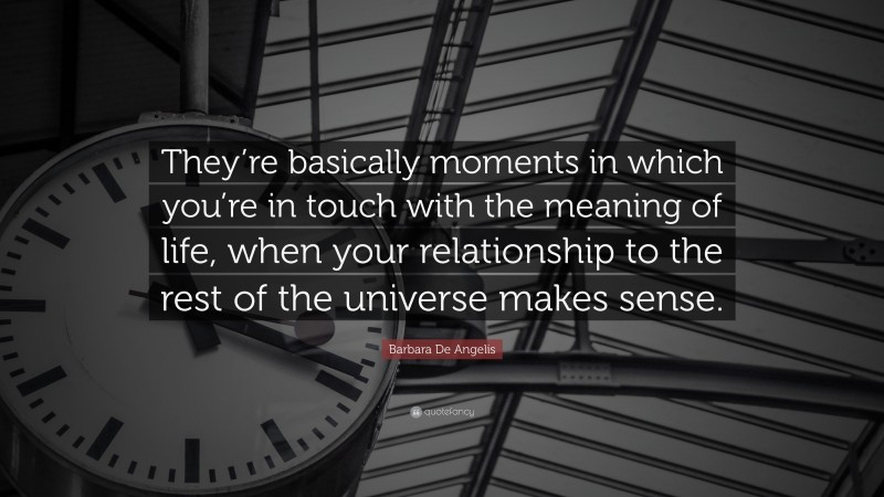 Barbara De Angelis Quote: “They’re basically moments in which you’re in touch with the meaning of life, when your relationship to the rest of the universe makes sense.”