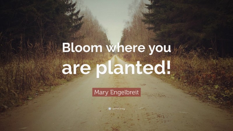 Mary Engelbreit Quote: “Bloom where you are planted!”