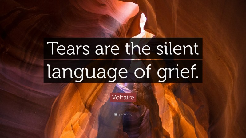 Voltaire Quote: “Tears are the silent language of grief.”