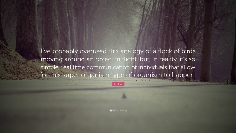 Biz Stone Quote: “I’ve probably overused this analogy of a flock of birds moving around an object in flight, but, in reality, it’s so simple, real time communication of individuals that allow for this super organism type of organism to happen.”