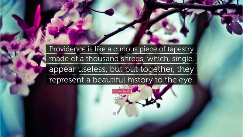 John Flavel Quote: “Providence is like a curious piece of tapestry made of a thousand shreds, which, single, appear useless, but put together, they represent a beautiful history to the eye.”