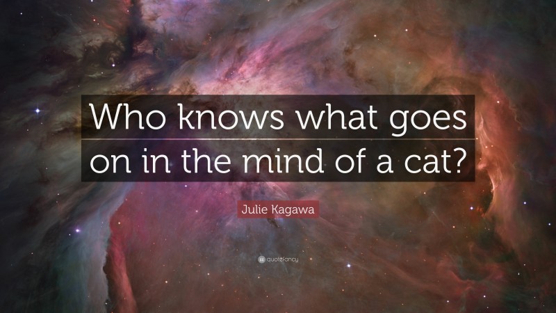 Julie Kagawa Quote: “Who knows what goes on in the mind of a cat?”