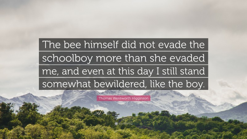 Thomas Wentworth Higginson Quote: “The bee himself did not evade the schoolboy more than she evaded me, and even at this day I still stand somewhat bewildered, like the boy.”