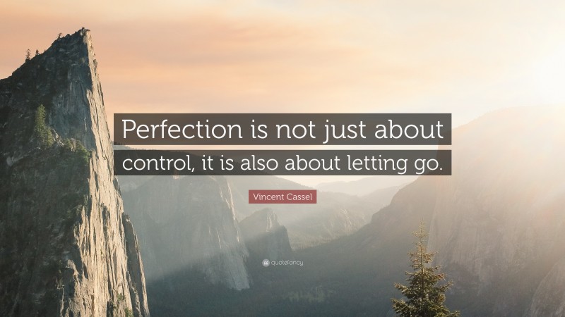 Vincent Cassel Quote: “Perfection is not just about control, it is also about letting go.”