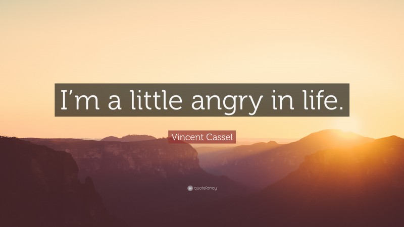 Vincent Cassel Quote: “I’m a little angry in life.”