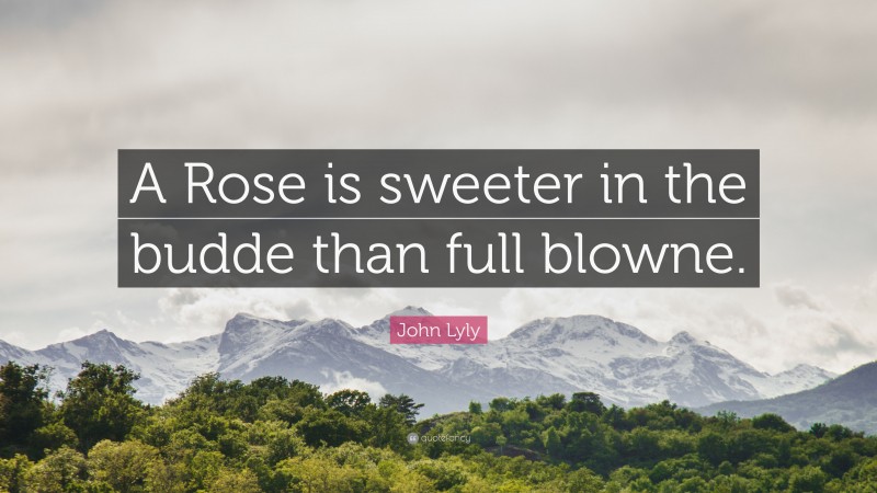 John Lyly Quote: “A Rose is sweeter in the budde than full blowne.”