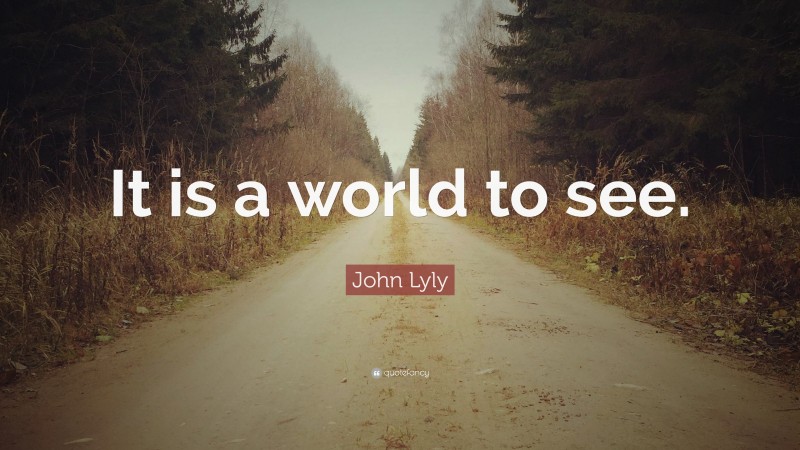 John Lyly Quote: “It is a world to see.”