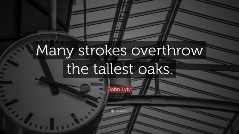 John Lyly Quote: “Many strokes overthrow the tallest oaks.”