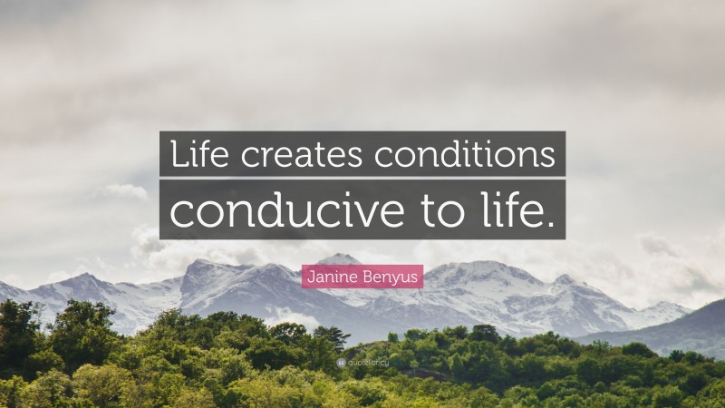 Janine Benyus Quote: “Life creates conditions conducive to life.”
