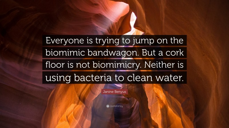 Janine Benyus Quote: “Everyone is trying to jump on the biomimic bandwagon. But a cork floor is not biomimicry. Neither is using bacteria to clean water.”