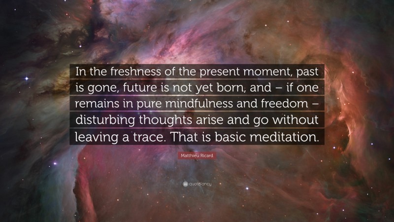 Matthieu Ricard Quote: “In the freshness of the present moment, past is gone, future is not yet born, and – if one remains in pure mindfulness and freedom – disturbing thoughts arise and go without leaving a trace. That is basic meditation.”